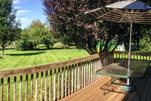 Backyard and deck on a summer day.